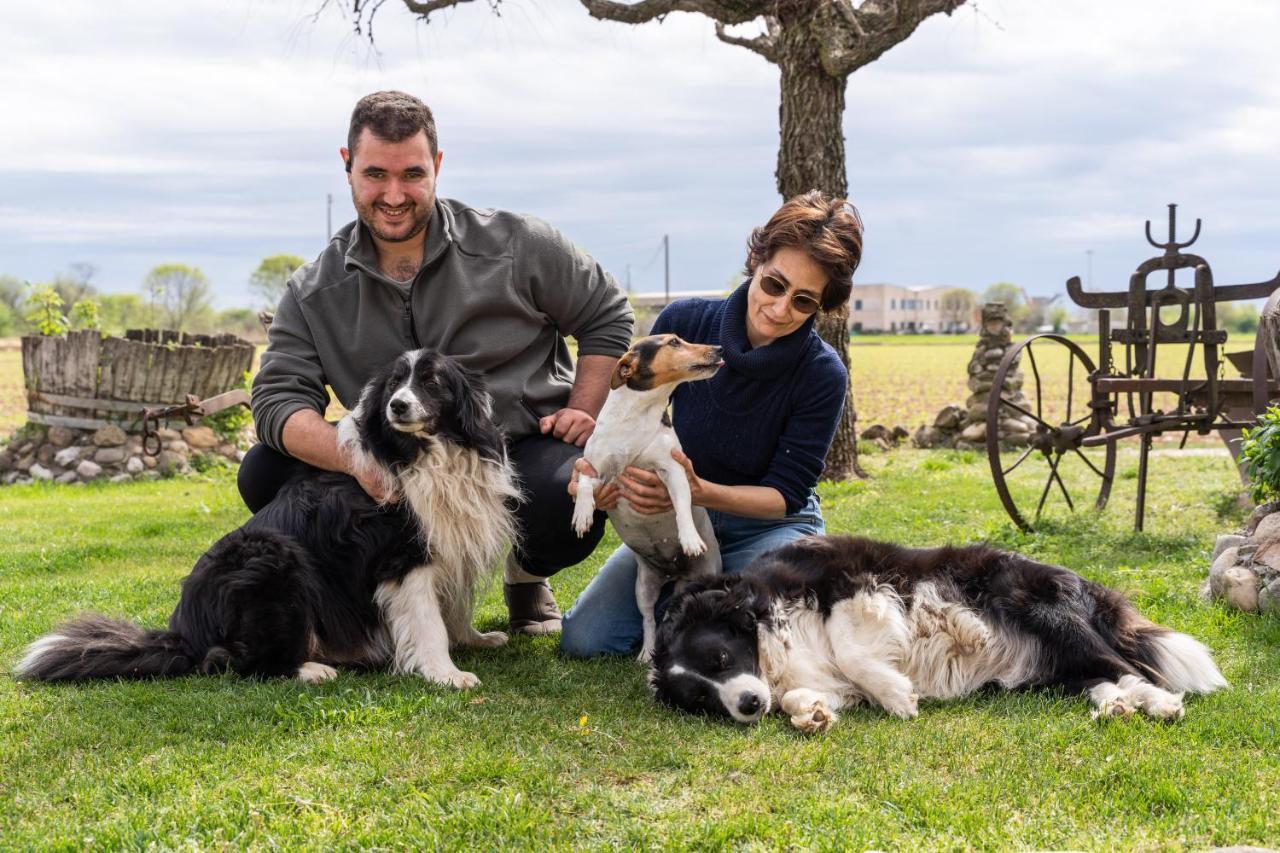 Agriturismo Pozzo Fiorito Castiglione Delle Stiviere Ngoại thất bức ảnh