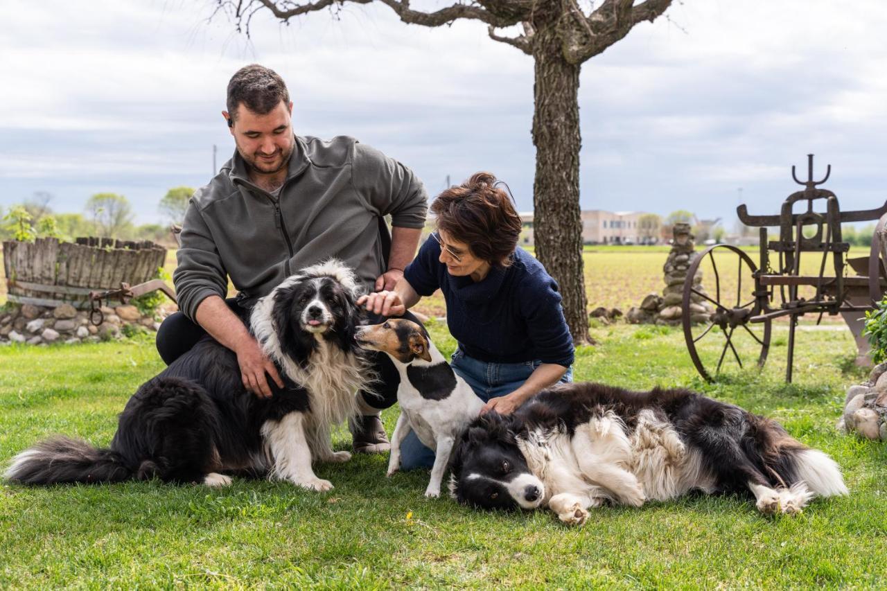 Agriturismo Pozzo Fiorito Castiglione Delle Stiviere Ngoại thất bức ảnh