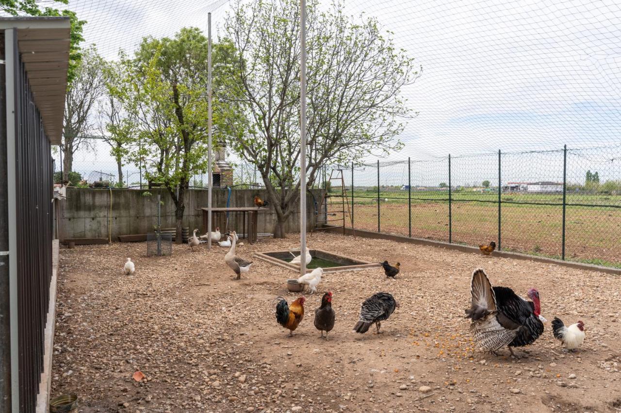 Agriturismo Pozzo Fiorito Castiglione Delle Stiviere Ngoại thất bức ảnh