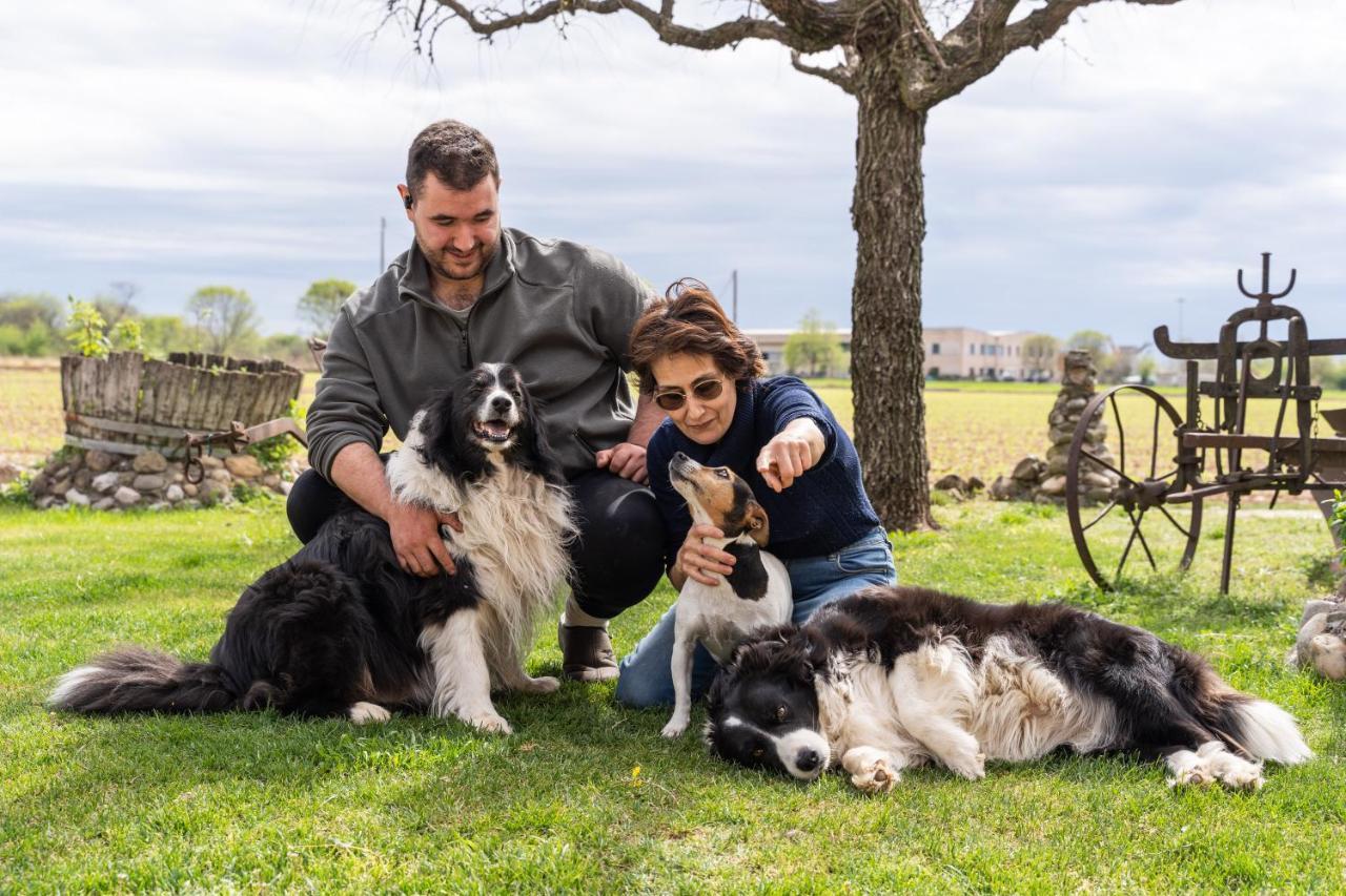 Agriturismo Pozzo Fiorito Castiglione Delle Stiviere Ngoại thất bức ảnh