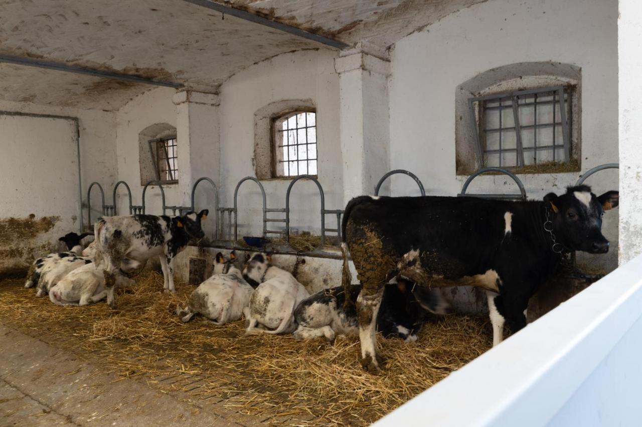 Agriturismo Pozzo Fiorito Castiglione Delle Stiviere Ngoại thất bức ảnh