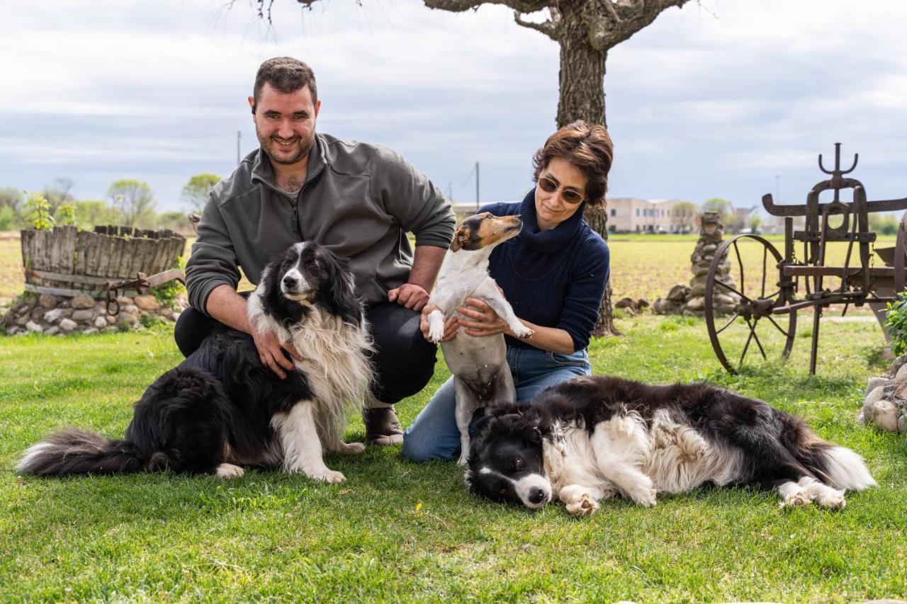 Agriturismo Pozzo Fiorito Castiglione Delle Stiviere Ngoại thất bức ảnh